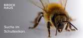 Nahaufnahme einer Biene